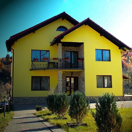 Casa Olteanu Pension Moieciu de Jos Zewnętrze zdjęcie