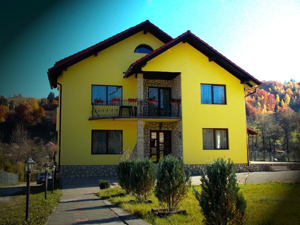 Casa Olteanu Pension Moieciu de Jos Zewnętrze zdjęcie