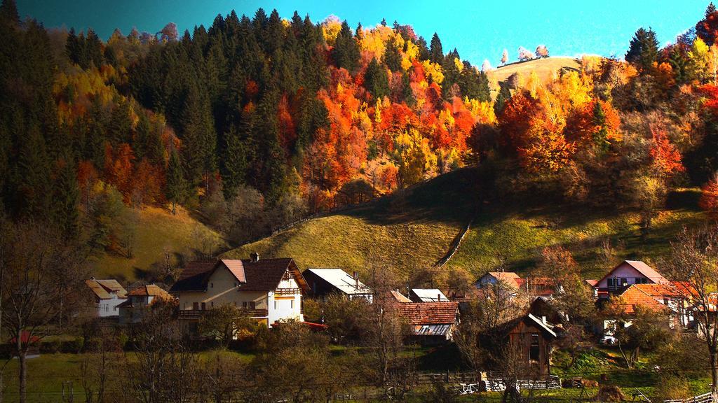 Casa Olteanu Pension Moieciu de Jos Zewnętrze zdjęcie